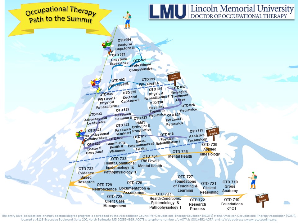 Image depicting courses throughout OTD curriculum showing the journey from the base of the mountain to the summit of the mountain.